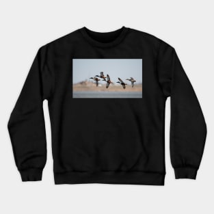 Flyby Crewneck Sweatshirt